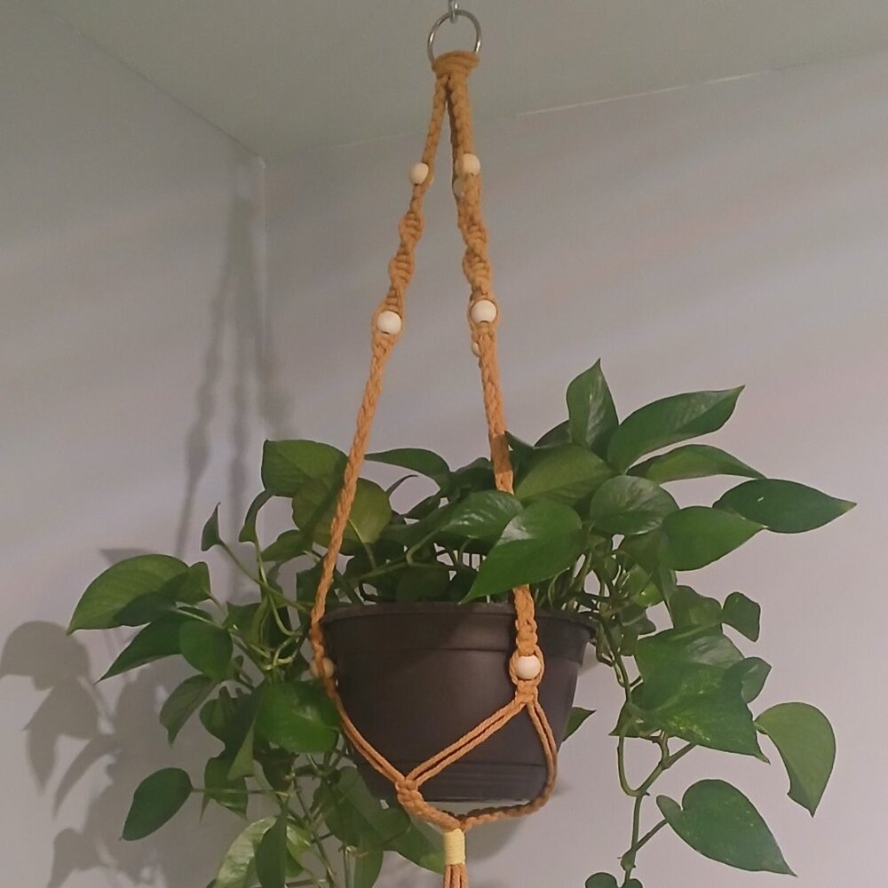 Plant Hanger